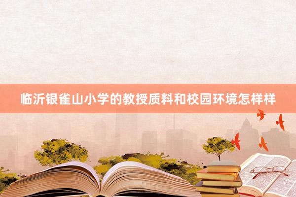 临沂银雀山小学的教授质料和校园环境怎样样